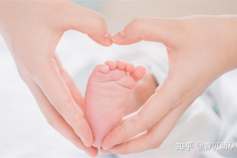http://huizhou.51dzb.net/post/188.html|惠州新闻中心